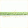 Cordon suppl�mentaire vert clair pour bracelet
