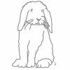 Sticker mural Le lapin gris (30 x 20 cm)