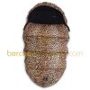 Chanceli�re Cheetah L�opard