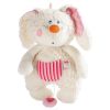 Doudou musical Pure Nature Charlotte Chanteuse (22cm)  par Haba