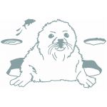 Stickers mural B�b� phoque - Mimi'lou