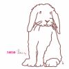 Sticker mural Le lapin chocolat (30 x 20 cm)