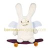 Ange lapin sur skateboard � roulettes (24 cm)