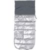 Chanceli�re Silver