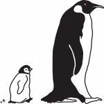Stickers mural pingouin et fils (50 cm) - Mimi'lou