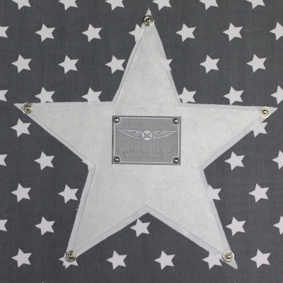 Tableau silver star étoile grise (30 x 30 cm)