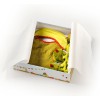 Coffret de naissance Walter (bavoir, chaussons et hochet)