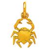 Pendentif breloque cancer (or jaune)