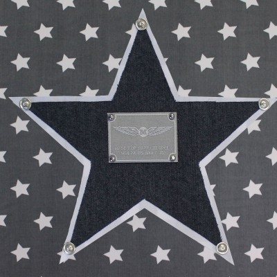 Tableau silver star étoile bleue (30 x 30 cm)