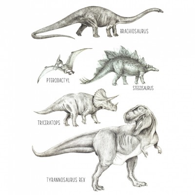 Affiche dinosaures (a3)