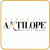 Antilope