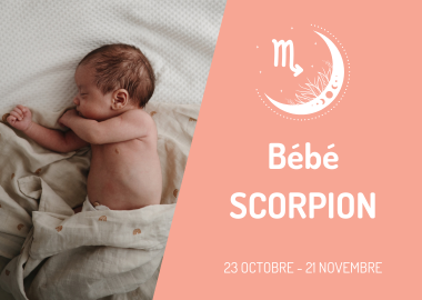 bébé-scorpion