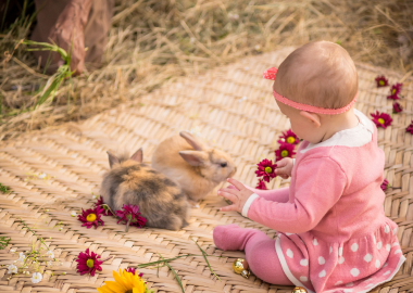 chambre-bebe-printemps