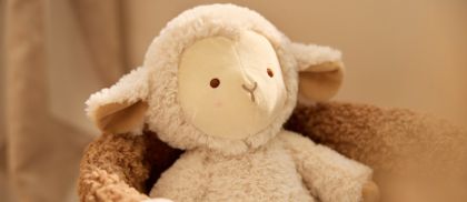 Collection Woolly