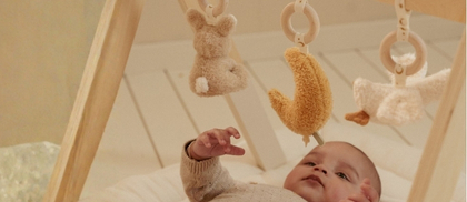 Jouets pour arche d'éveil