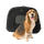 Icone Animaux de compagnie