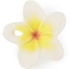 Mini jouet de dentition Hawaii the flower Oli & Carol Produit 1