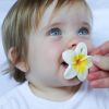 Mini jouet de dentition en latex Hawaii la fleur Chewy to go  par Oli & Carol