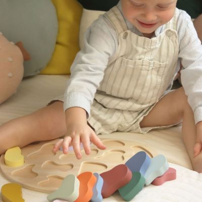 Puzzle à encastrer en bois Couleurs (14 pièces)