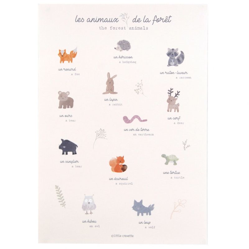 Affiche A3 Les animaux de la fôret Dream Forest Little Crevette
