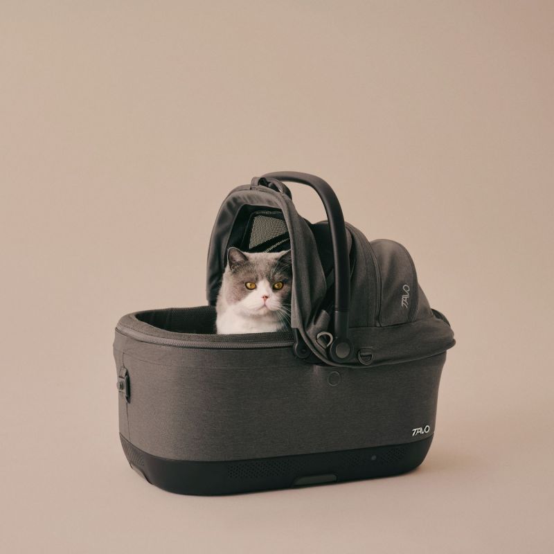 Siège auto pour animal avec ventilateur et système Isofix intégré MAEVE ISO6X WIND ASHEN Tavo Ambiance 9