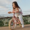 Draisienne pink matte Little Dutch Ambiance 5