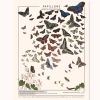Planche Papillons (60 x 80 cm) - Les jolies planches