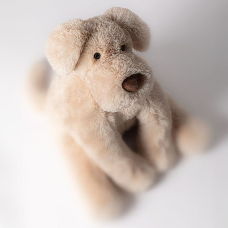 Peluche Smudge Chiot (36 cm) Jellycat Ambiance 2