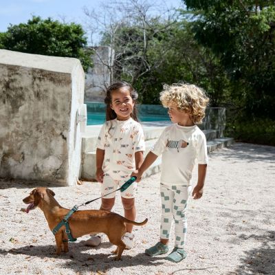 T-shirt anti-UV manches courtes Beach Chien (2-3 ans)