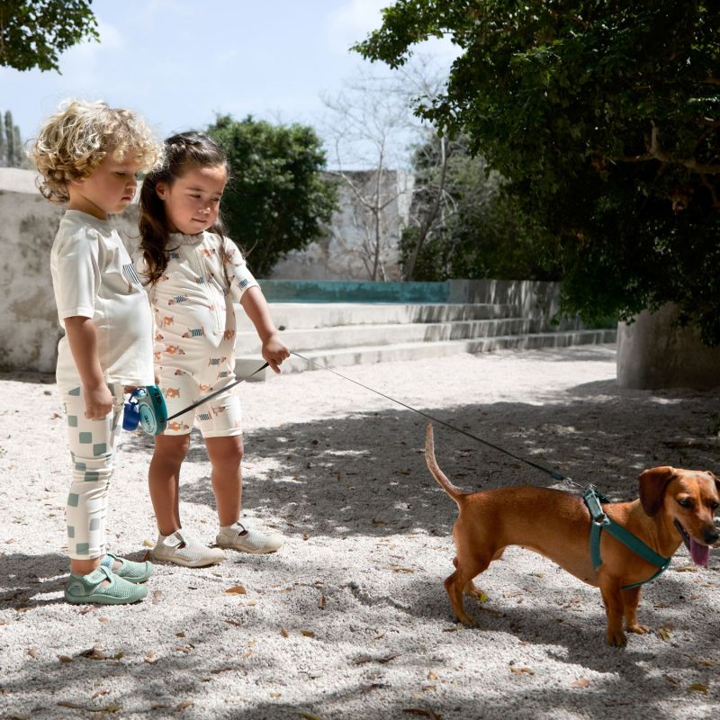 T-shirt anti-UV manches courtes Beach Chien (2-3 ans) Lässig Ambiance 4