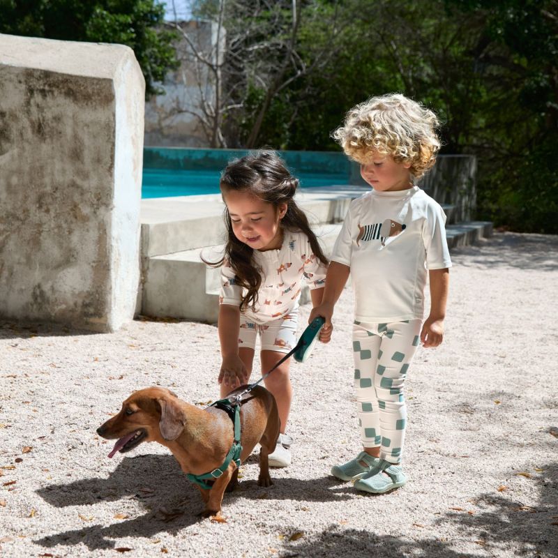 T-shirt anti-UV manches courtes Beach Chien (2-3 ans) Lässig Ambiance 8