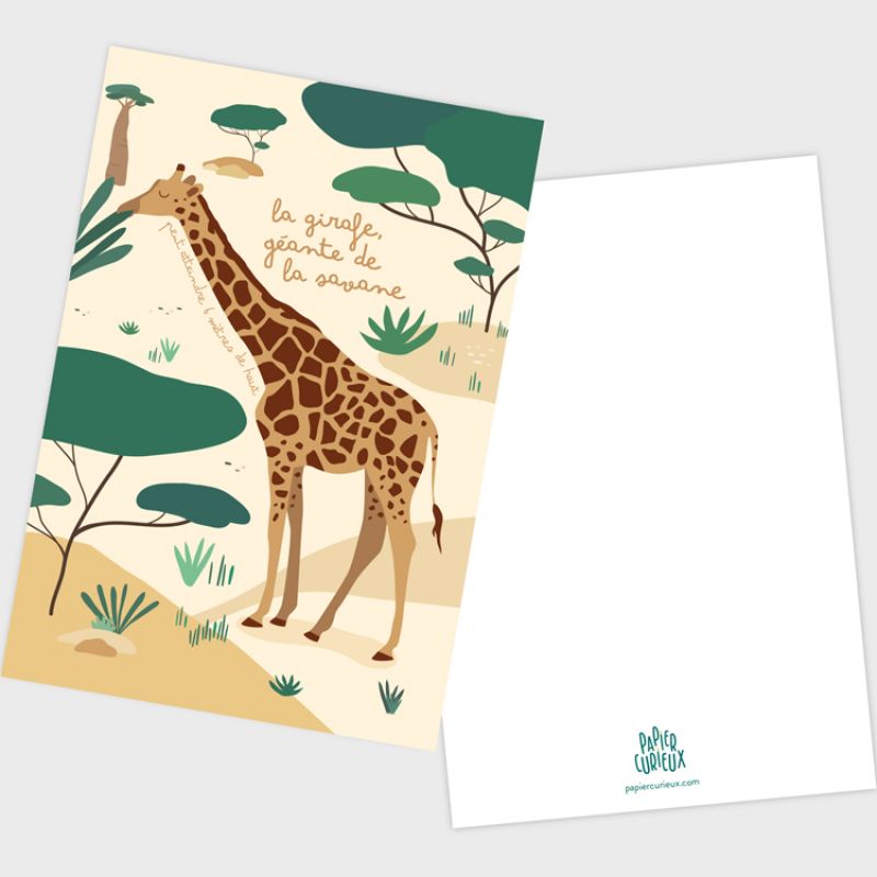 Lot des 7 cartes sauvages (10 x 15 cm) Papier curieux