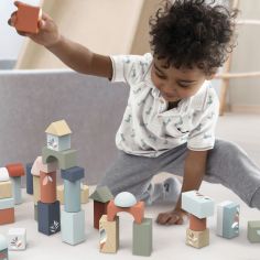 Blocs de construction (50 blocs)