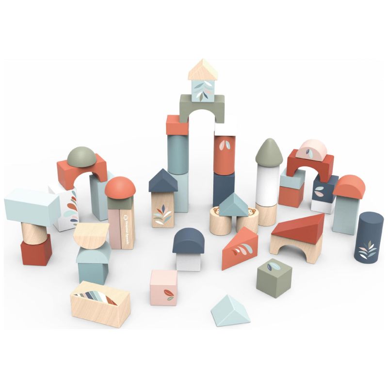 Blocs de construction (50 blocs) Speedy Monkey Produit 1