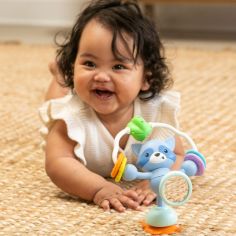 Jouet de table ventouse Raton Laveur