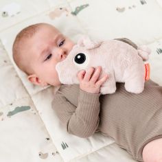 Peluche petite Pigee Rose (22 cm)