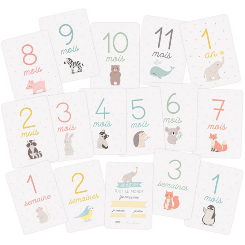 Cartes étapes Mes premiers mois animaux (16 cartes) Zü