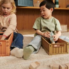 Lot de 2 caisses de rangement Weston M Oat