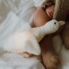 Peluche lumineuse oie Liva - Reconditionné FLOW Produit 7