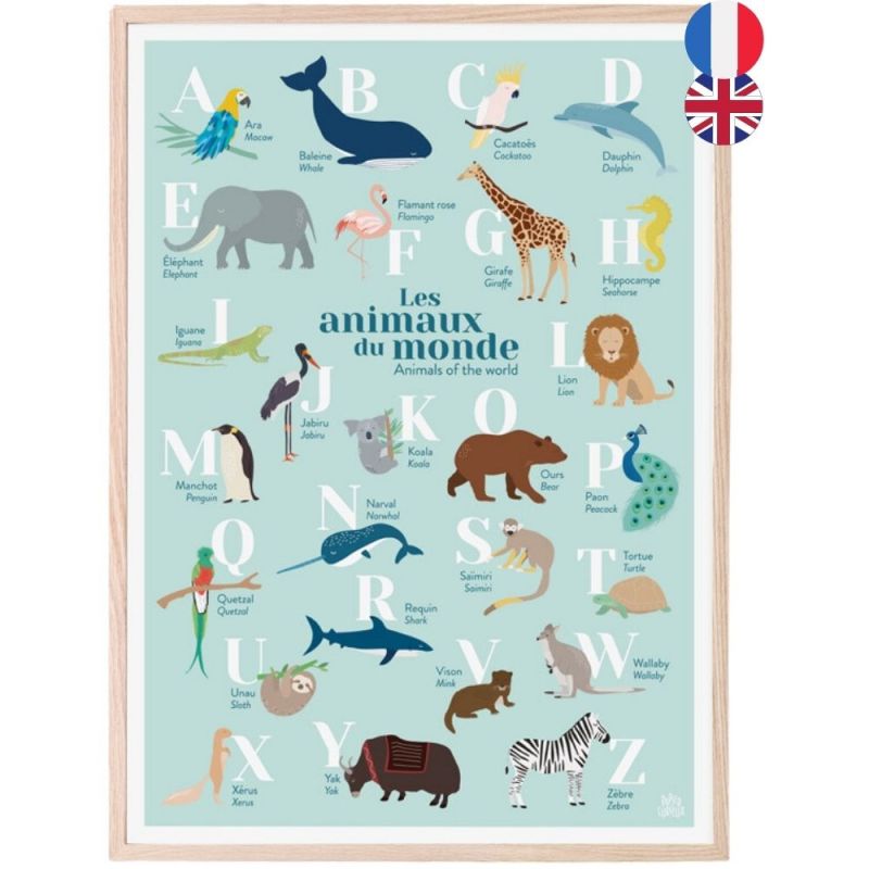Abécédaire des animaux du monde bilingue fond bleu (A3) Papier curieux
