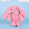 Peluche Lapin Fleurette Grenadine (25 cm) Doudou et Compagnie Ambiance 3