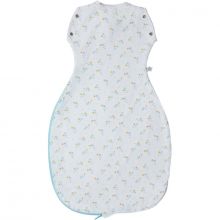 Gigoteuse d'emmaillotage chaude Grobag Baby star Etoiles TOG 2,5 (0-4 mois)  par Tommee Tippee