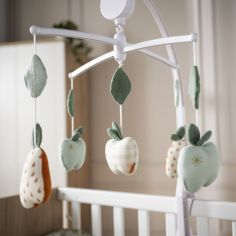 Mobile musical Botanica