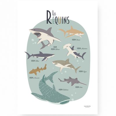 Affiche A3 Les requins  par Lutin Petit Pois
