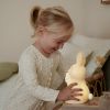 Veilleuse Lapin Fairy Garden Little Dutch Ambiance 6