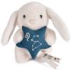 Doudou Astro Lion (12 cm) Doudou et Compagnie Produit 2