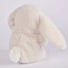 Doudou Astro Lion (12 cm) Doudou et Compagnie Ambiance 6