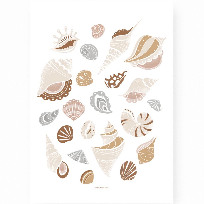 Affiche A3 Coquillages Lutin Petit Pois