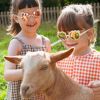 Lunettes de soleil Ourson Rose pêche (12-24 mois) KI et LA Ambiance 8