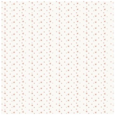 Lé unique papier peint Motif Paloma